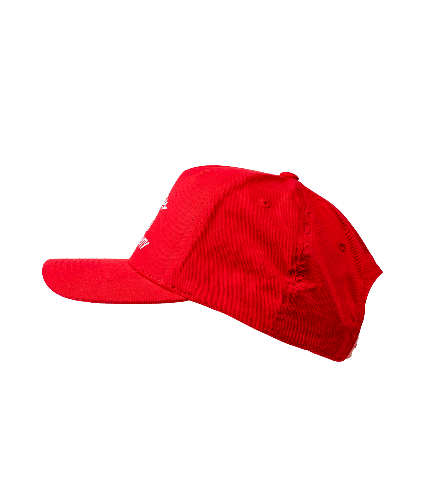 Life Is Fiery With It's Beauty Premium DTF Hat