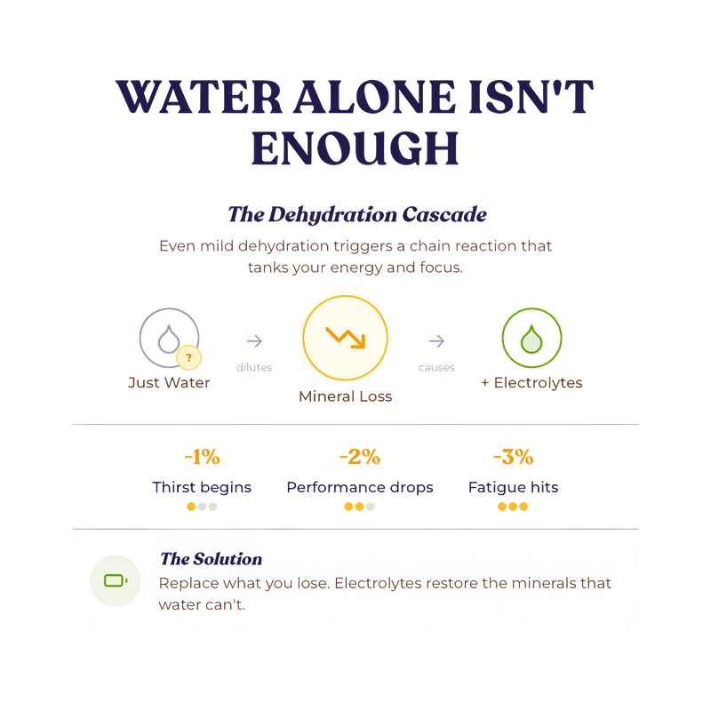 Optimal Human Hydration Drink Mix with French Sea Salt