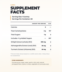 Shilajit Gummies - Pineapple - Super-Infused Supplement (60 Gummies) (60 Servings)