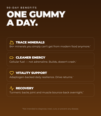 Shilajit Gummies - Pineapple - Super-Infused Supplement (60 Gummies) (60 Servings)