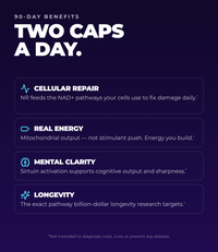 Ultra NAD+ Cellular Health & Energy (60 Capsules) (30 Servings)