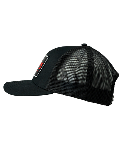 Alex Jones Austin Texas Leather Patch Hat