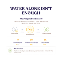 Alex Jones Naturals - Optimal Human Hydration Drink Mix with French Sea Salt — 'Water Alone Isn't Enough' dehydration cascade infographic explaining mineral loss and electrolyte replacement benefits