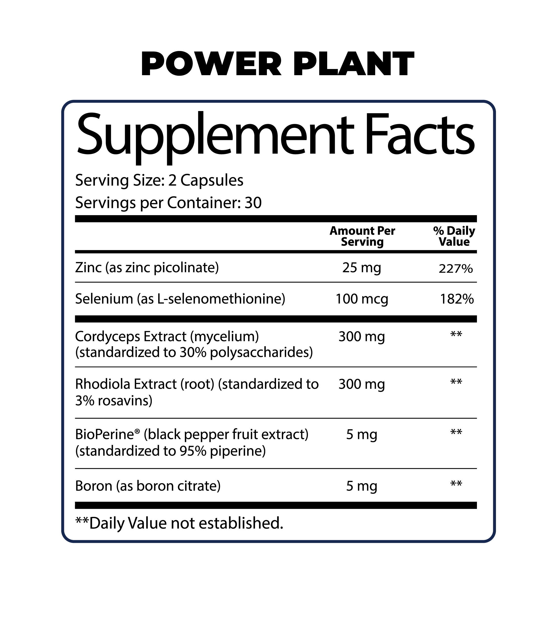 The Power Drive Bundle