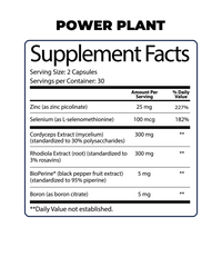 The Power Drive Bundle