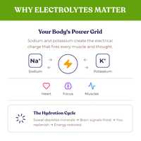 Alex Jones Naturals - Optimal Human Hydration Drink Mix with French Sea Salt — 'Why Electrolytes Matter' infographic showing sodium and potassium as the body's power grid for heart, focus and muscles