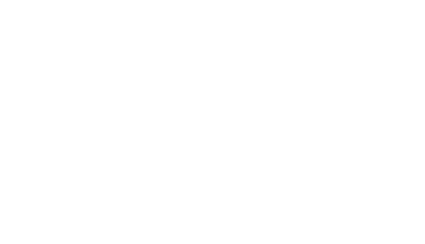 The Alex Jones Store